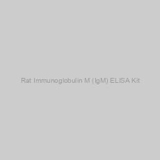 Image of Rat Immunoglobulin M (IgM) ELISA Kit
